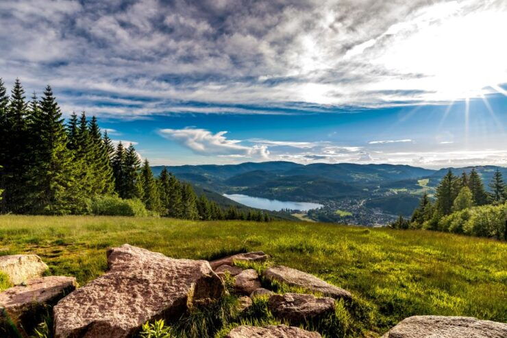 Zurich: Black Forest, Titisee, and Rhine Falls Bus Day Trip - Activity Details