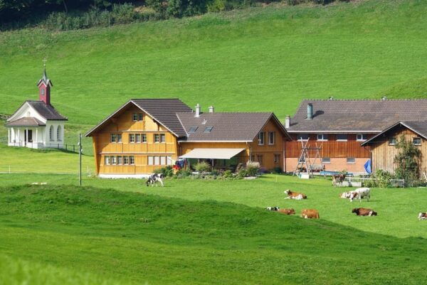 Zürich Car Tour: Appenzell, Ebenalp, St. Gallen - Lake Constance: Lakeside Relaxation