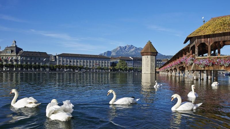 Zurich Chapel Bridge & Lion Monument Full-Day Small Group Tour - What to know before you go