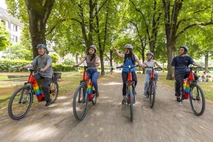 Zurich: E-Bike City Tour - Experience Highlights