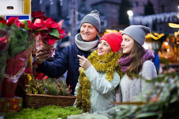 Zurich: Enchanted Christmas - A Festive Journey Walking Tour - Itinerary Highlights
