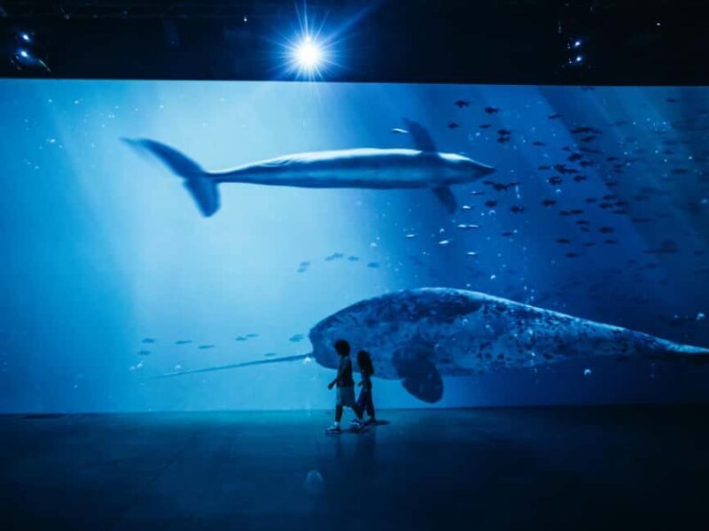 Zurich: Entrance ticket to the "Titanic" immersive exhibition at Lichthalle Maag - The Sum Up: Is This Experience Worth It?