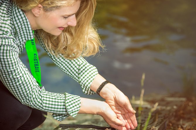 Zurich Foxtrail Ikarus - Overview of the Experience