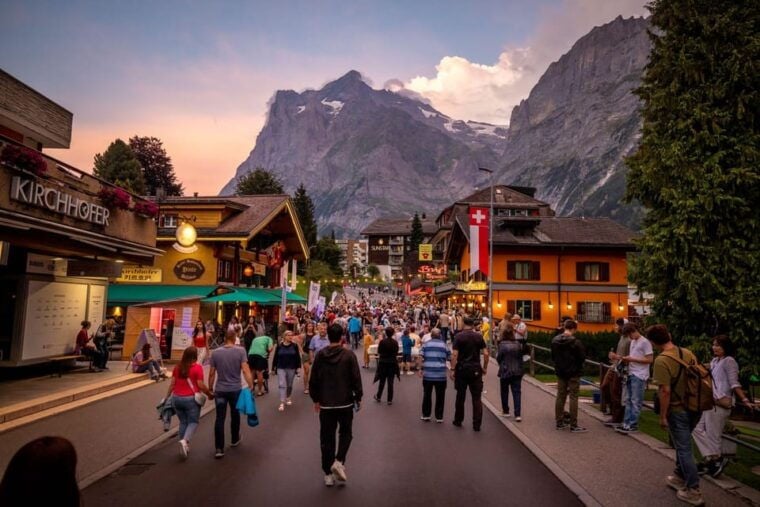Zurich: Interlaken & Canyon Swing From Grindelwald Day Trip - Scenic Drive Through Swiss Countryside
