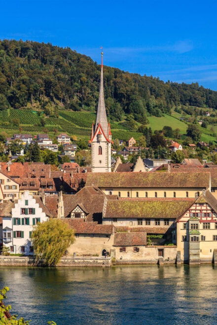 Zurich: Liechtenstein, Austria, Germany and Swiss Day Trip - Included Services
