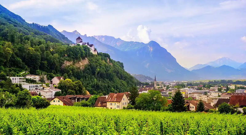Zurich & Lucerne One-Day Private Alpine Countries Tour - Bregenz and Lake Constance