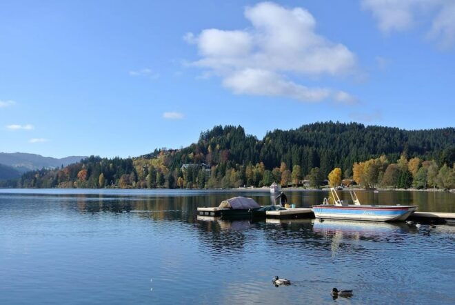 Zürich/Lucerne: Rhine Falls, Titisee & Black Forest Day Trip - Rhine Falls Experience