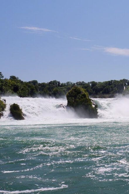 Zürich/Lucerne: Rhine Falls, Titisee & Black Forest Day Trip - Black Forest Excursion