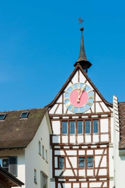 Zürich/Lucerne: Rhine Falls, Titisee & Black Forest Day Trip - Customer Feedback