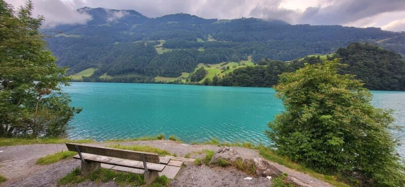 Zurich: Lungern, Brienz, Thun, Blausee, & Oeschinen Day Trip - What We Think About the Price and Value
