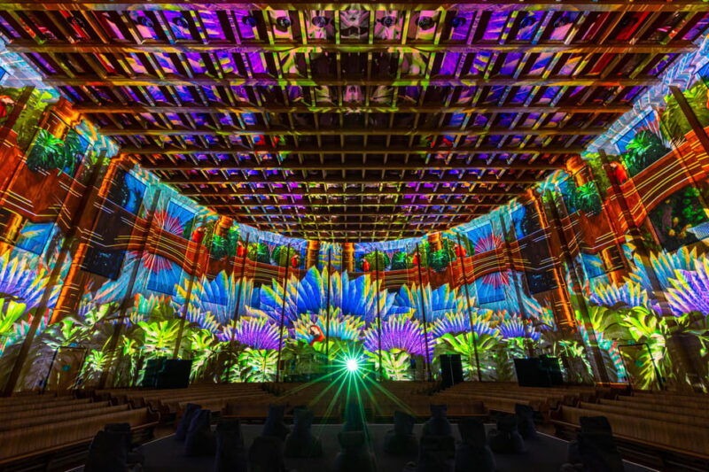 Zurich: Pixel Zoo Jungle - an Immersive Journey Through the Rainforests - Good To Know