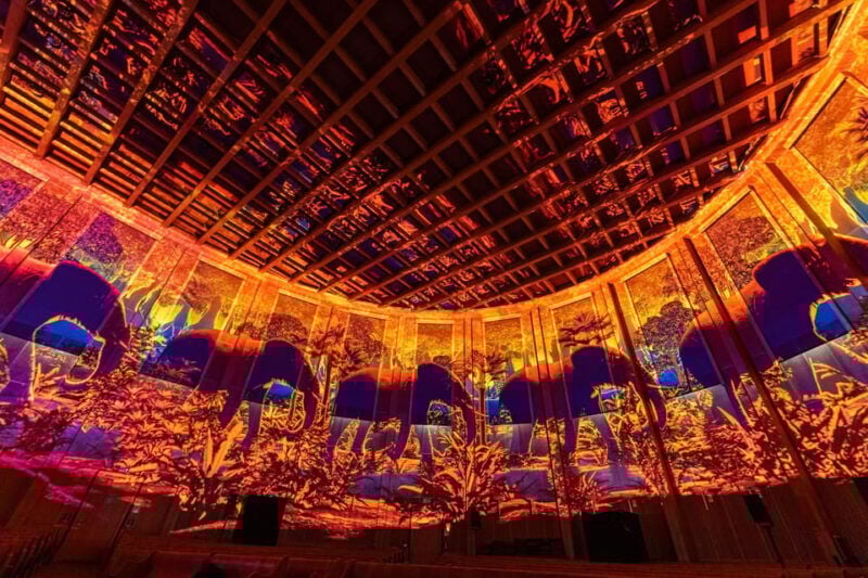Zurich: Pixel Zoo Jungle - an Immersive Journey Through the Rainforests - Booking Information
