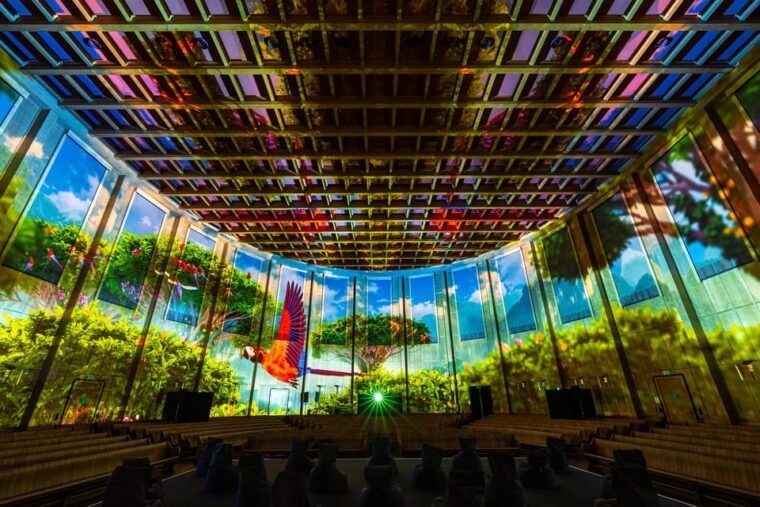 Zurich: Pixel Zoo Jungle - an Immersive Journey Through the Rainforests - Journey Through the Rainforest