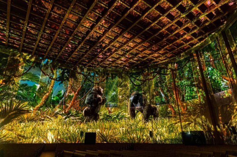 Zurich: Pixel Zoo Jungle - an Immersive Journey Through the Rainforests - Interactive Experience for Families