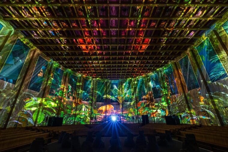 Zurich: Pixel Zoo Jungle - an Immersive Journey Through the Rainforests - Educational Aspects