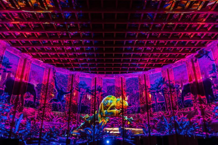 Zurich: Pixel Zoo Jungle - an Immersive Journey Through the Rainforests - Frequently Asked Questions