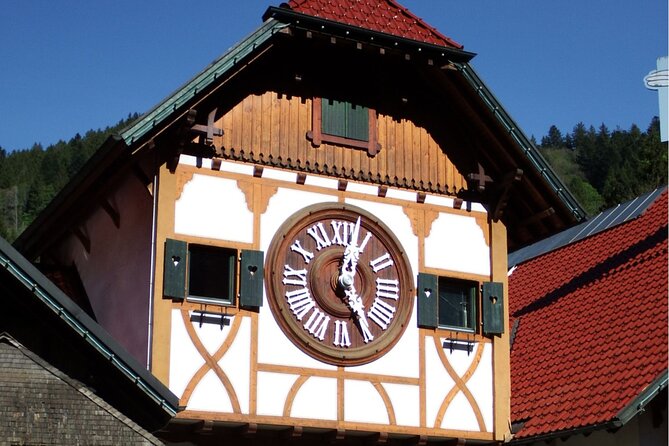 Zürich: Private Car Tour to Rhine Falls, Titisee and Black Forest - Cancellation Policy