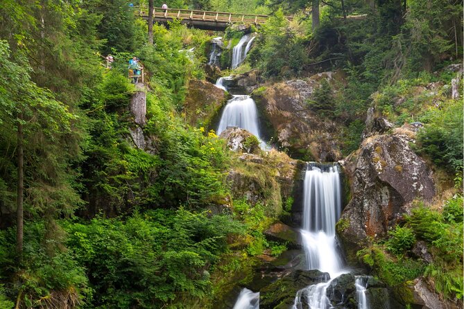 Zürich: Private Car Tour to Rhine Falls, Titisee and Black Forest - Reviews