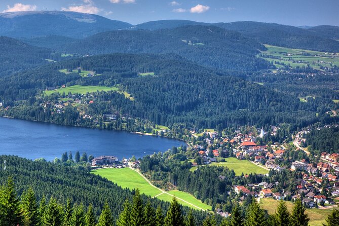 Zürich: Private Car Tour to Rhine Falls, Titisee and Black Forest - The Sum Up