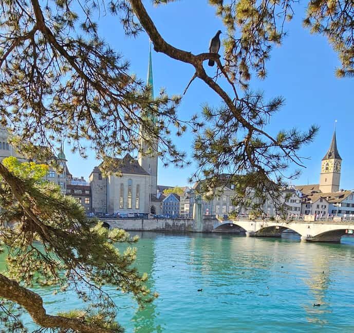 Zürich: Private Costumized Tour with Local Expert Tourguide - Good To Know