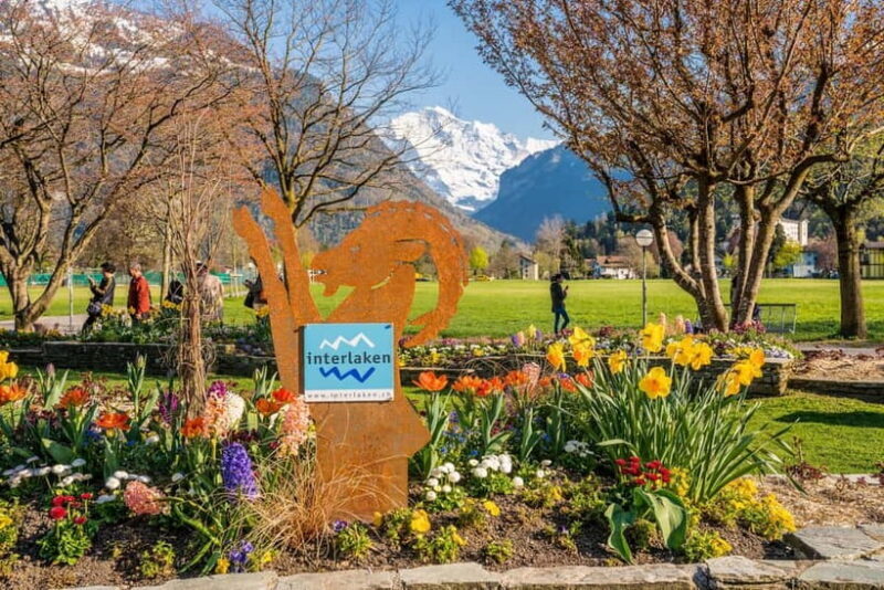 Zurich: Private Day Tour to Waterfalls Valley & Interlaken. - Frequently Asked Questions