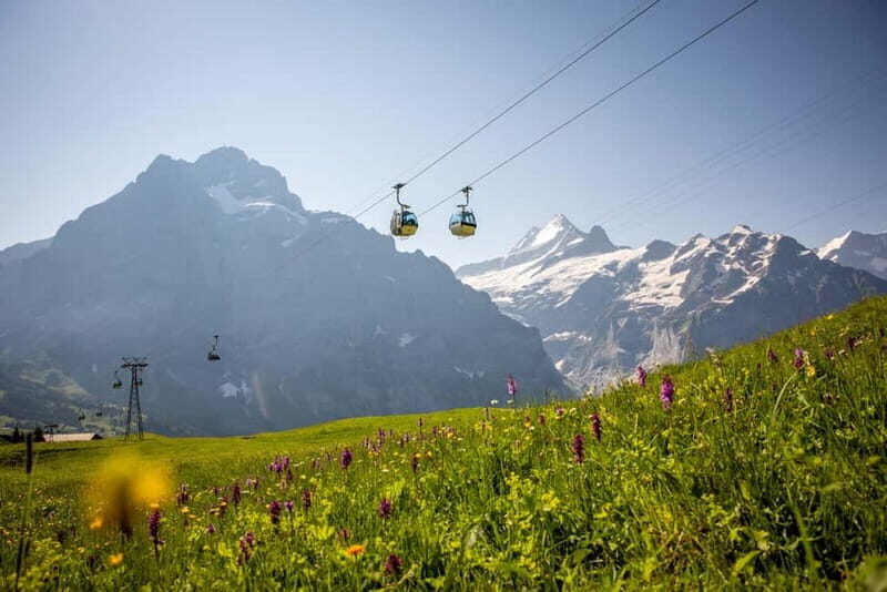 Zurich: Private Jungfraujoch & Thrilling Velogemel Adventure - FAQ