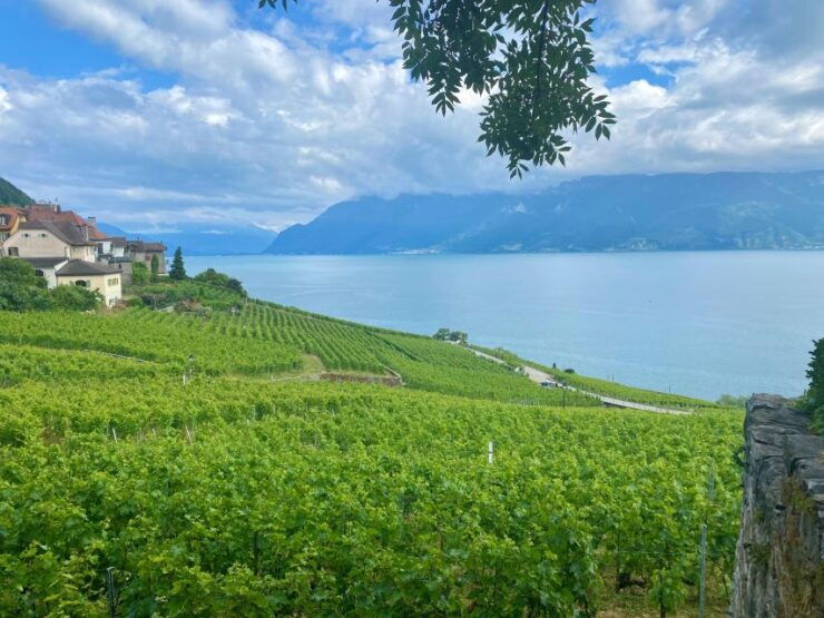 Zurich Private Tour: Gruyères, Cheese, & Lavaux UNESCO Wine - Booking Information