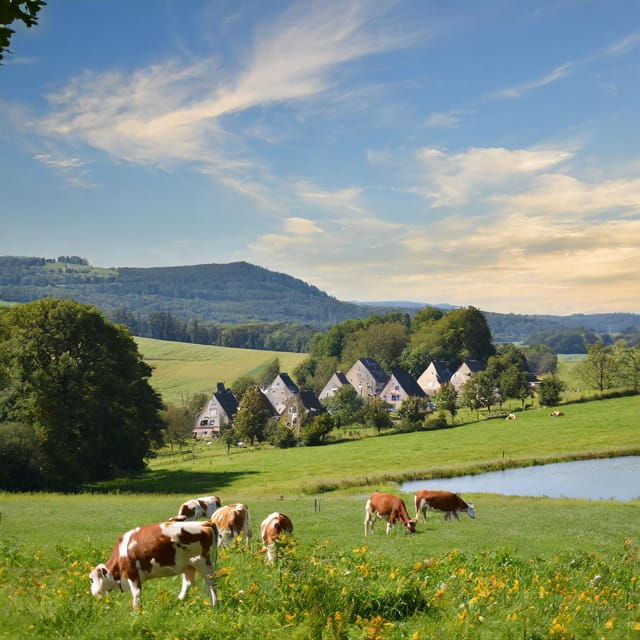 Zurich Private Tour to Liechtenstein and Heidiland - Transportation and Flexibility