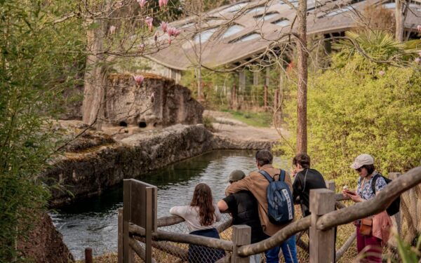 Zurich: Private Visiting and Photoshoot at Zoo Zurich! - Cancellation and Refund Policy