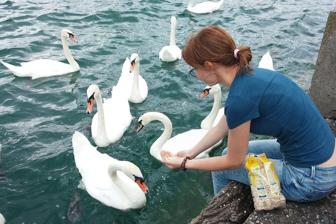 Zurich Private Walking Tour With a Local Guide - Pricing and Booking Details