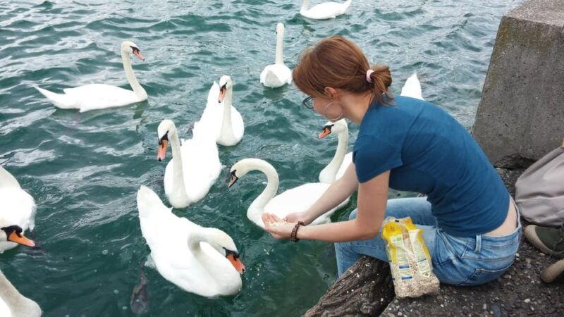 Zurich: Private Walking Tour With a Tour Guide - Inclusions and Exclusions