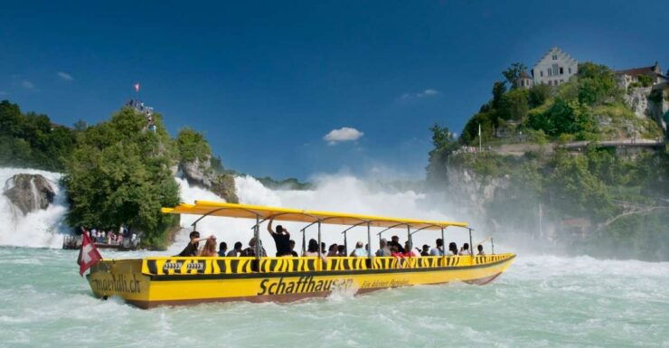 Zurich: Rhine Falls and Best of Zurich City Full-Day Tour - Review Summary