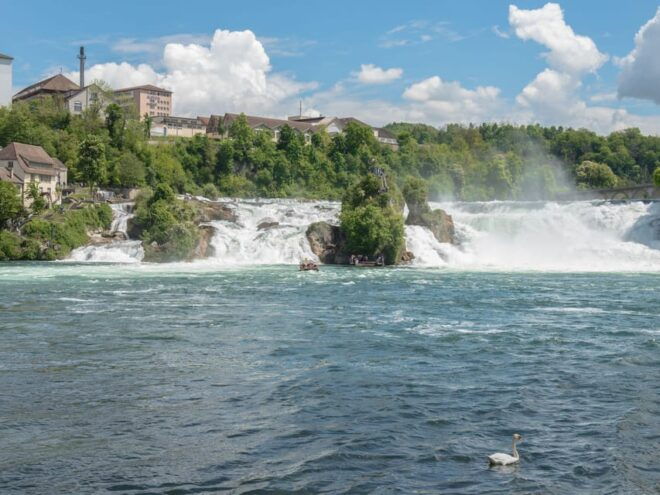 Zurich: Rhine Falls, Chocolate & Cheese Factory Day Trip - Customer Reviews and Ratings