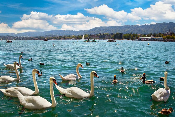 Zurich Scavenger Hunt and Best Landmarks Self-Guided Tour - Meeting Point and Start/End Time