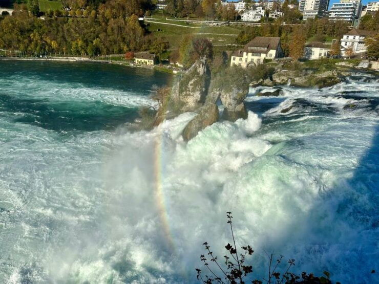 Zurich: Schaffhausen & Rhine's Largest Falls Private Tour - Tour Information