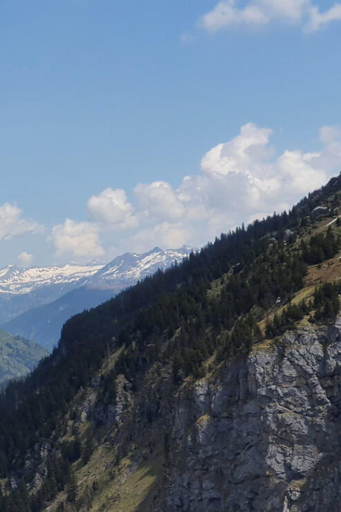 Zurich: Tour the Klausenpass With a Ford Mustang Convertible - Good To Know