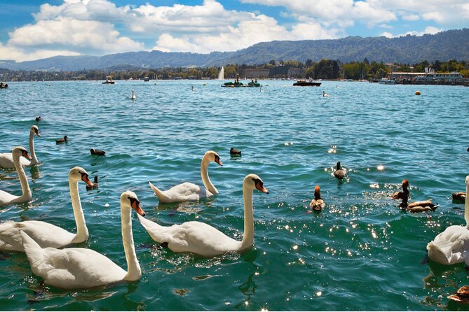 Zurich With Cruise and Lindt Home of Chocolate(Private Tour) - Cancellation Policy and Refunds