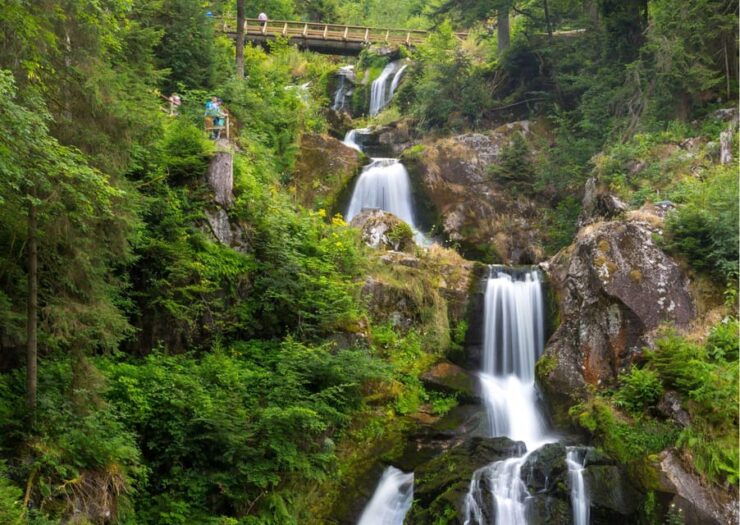 Zürich:Private Car Tour- Rhine Falls, Titisee & Black Forest - Itinerary Details