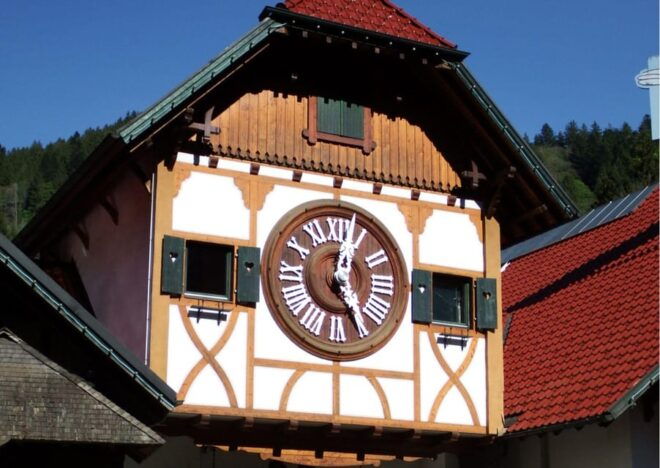 Zürich:Private Car Tour- Rhine Falls, Titisee & Black Forest - Customer Feedback Insights