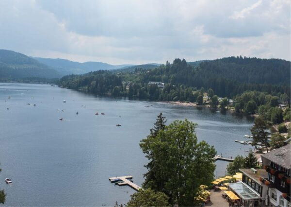 Zürich:Private Car Tour- Rhine Falls, Titisee & Black Forest - Booking Information