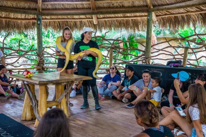 ZWF Miami: General Wildlife Experience - 1 Hour Tour - Frequently Asked Questions