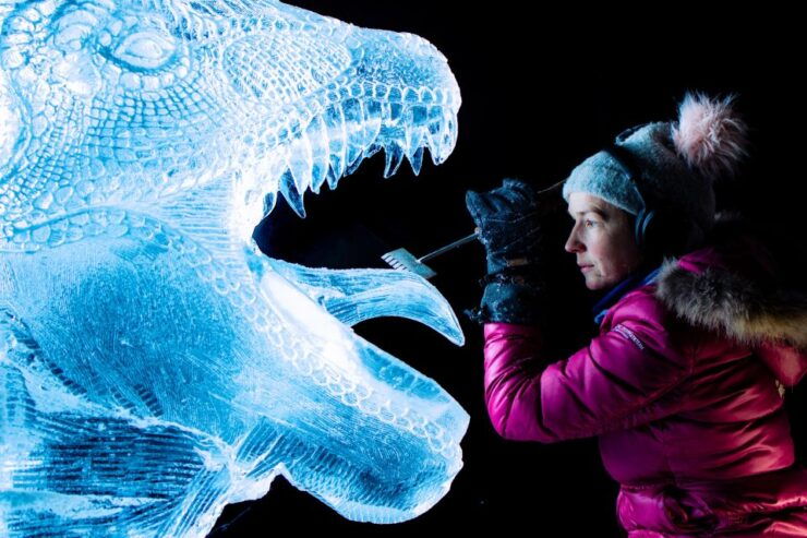 Zwolle: Dutch Ice Sculpture Festival - Ticket Details